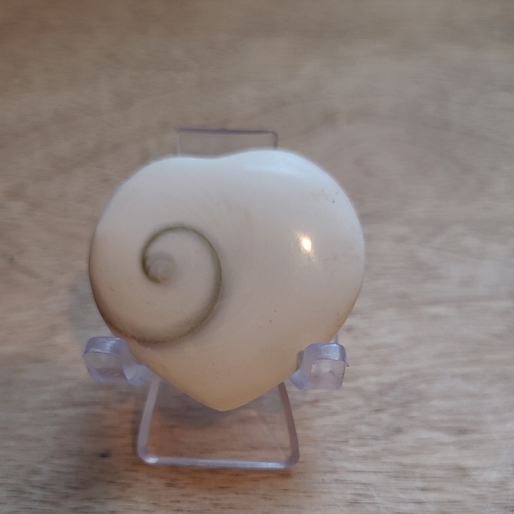 Heart-Shaped Cream Shell Pendant Sgiva